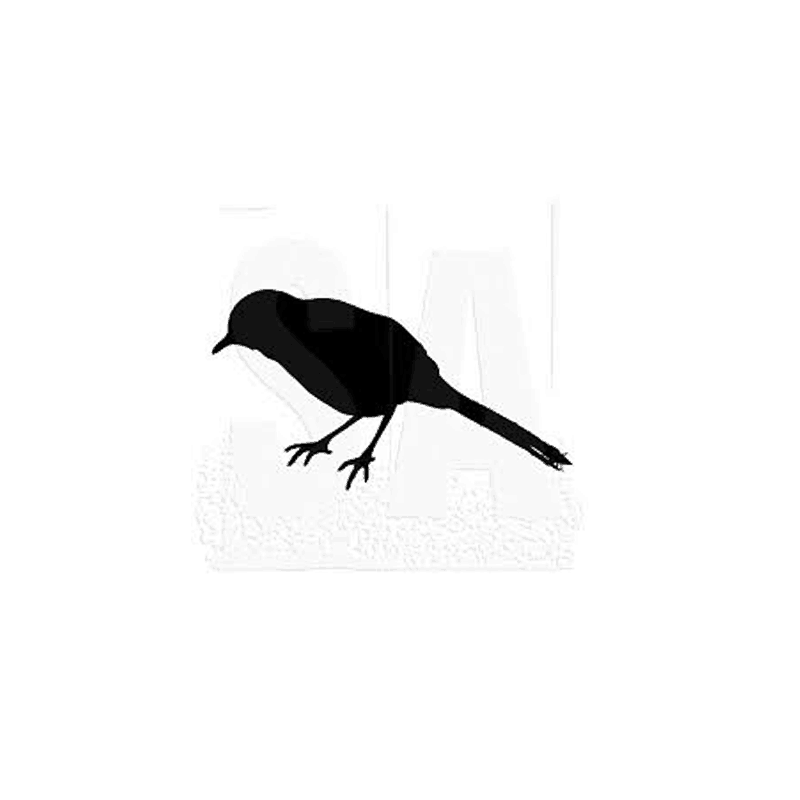 BIRD-LOOKING-DOWN חותמת גומי על עץ ציפור מסתכלת למטה של טים הולץ