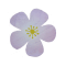 F3277 BOLD POP FLOWER חותמת גומי על עץ פרח מעוגל