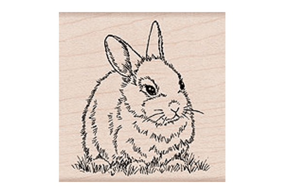 F5377 THOUGHTFUL BUNNY חותמת גומי על עץ ארנב