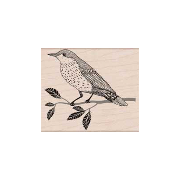 H5719 WISE BIRD חותמת גומי על עץ ציפור על ענף